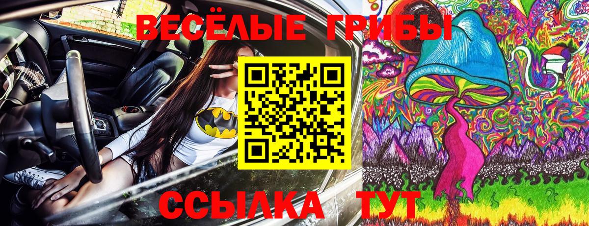 Галлюциногенные грибы GOLDEN TEACHER  Вход с VPN  Галлюциногенные грибы ЛСД  Кольчугино 